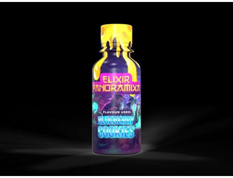 ELIXIR PANORAMIXA – Blueberry Cookies 100ml 500mg